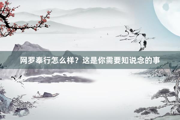 网罗奉行怎么样？这是你需要知说念的事