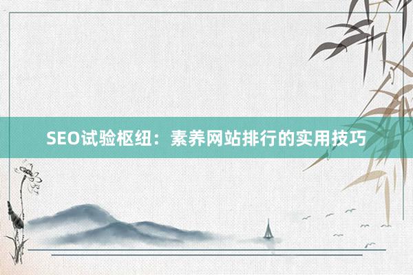 SEO试验枢纽：素养网站排行的实用技巧