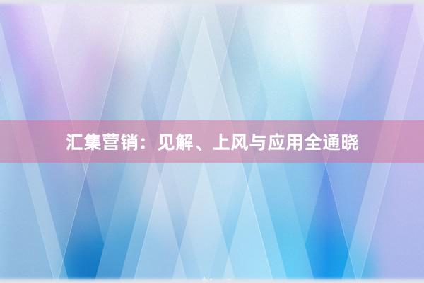 汇集营销：见解、上风与应用全通晓