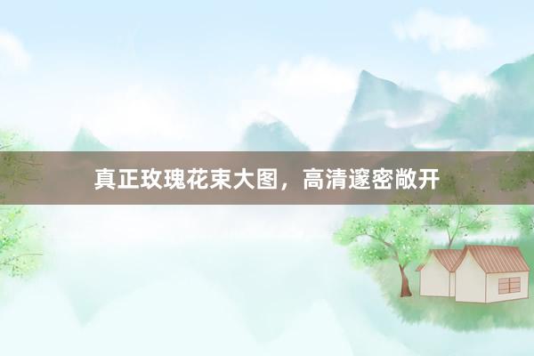 真正玫瑰花束大图，高清邃密敞开