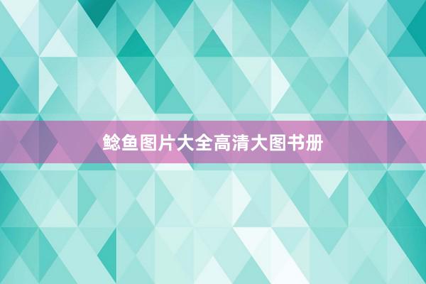 鲶鱼图片大全高清大图书册