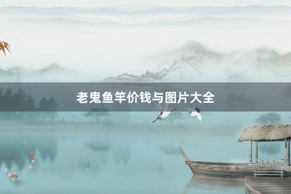 老鬼鱼竿价钱与图片大全