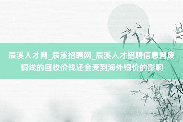 辰溪人才网_辰溪招聘网_辰溪人才招聘信息网废铜线的回收价钱还会受到海外铜价的影响